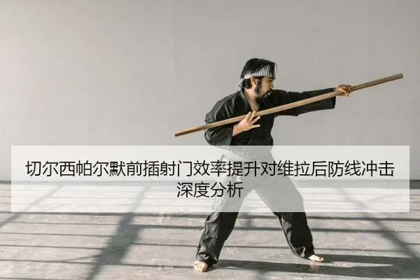 qie-er-xi-pa-er-mo-qian-cha-she-men-xiao-lv-ti-sheng-dui-wei-la-hou-fang-xian-chong-ji-shen-du-fen-xi-2-490.jpg